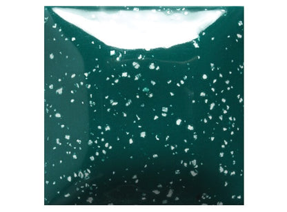 Speckled Teal Next Time 16 Ounces (Case of 1)