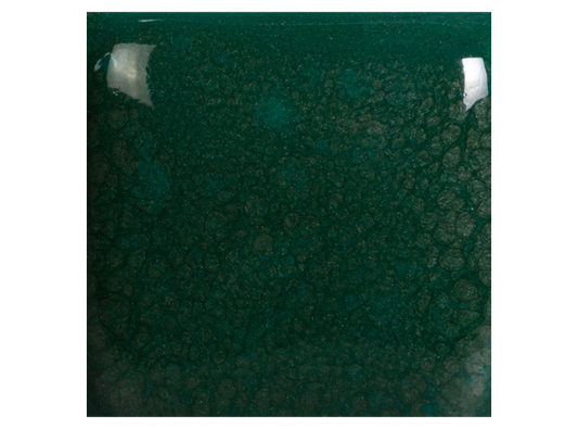 Speckled Teal Next Time 16 Ounces (Case of 1)