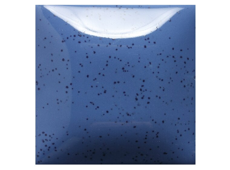 Speckled The Blues 16 Ounces (Case of 1)