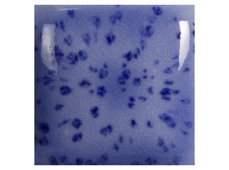 Speckled Purple Haze 8 Ounces (Case of 1)