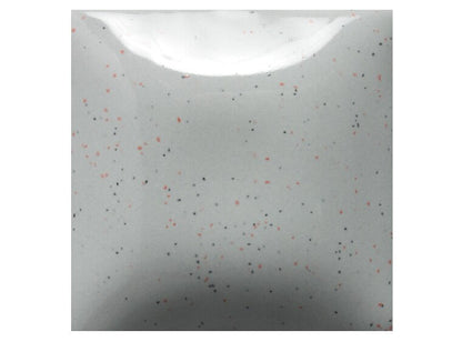 Speckled Silver Lining 16 Ounces (Case of 1)