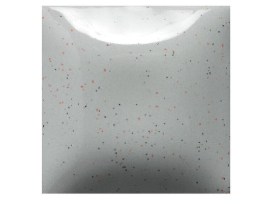 Speckled Silver Lining 16 Ounces (Case of 1)