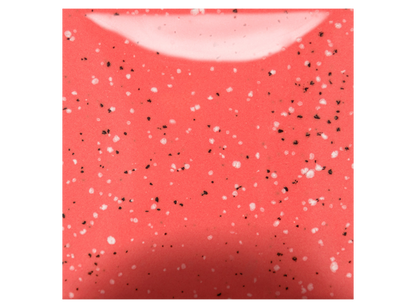 Speckled Cutie Pie Coral - 8 Ounces (Case of 1)