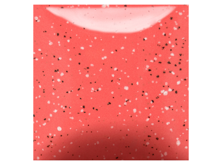 Speckled Cutie Pie Coral - 16 Ounces (Case of 1)