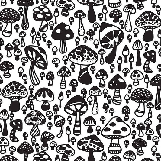 Wild Mushroom (Case of 1)
